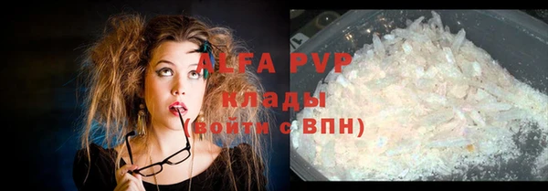 индика Козловка