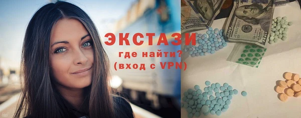 индика Козловка