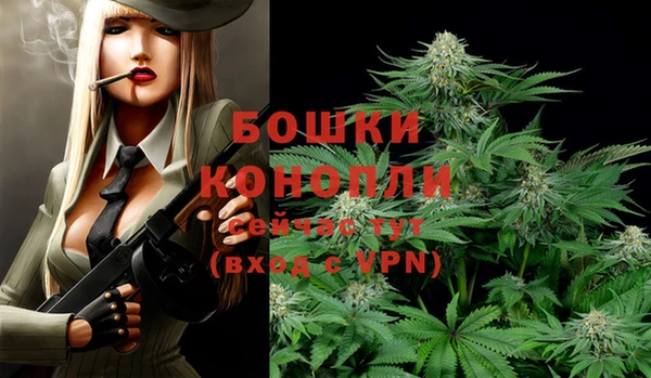 индика Козловка