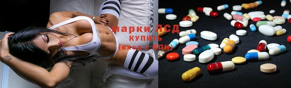 шишки Козельск