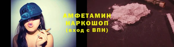 индика Козловка