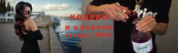 индика Козловка