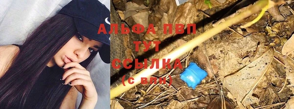 шишки Козельск