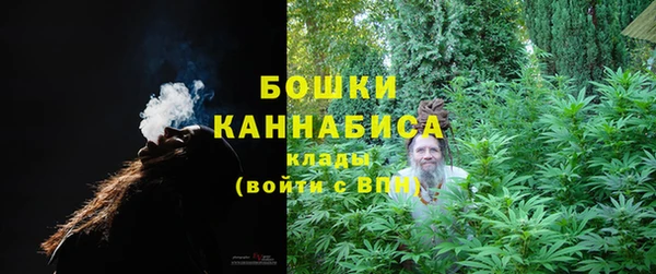 шишки Козельск