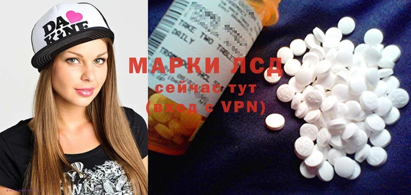 индика Козловка