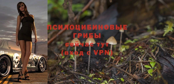 индика Козловка