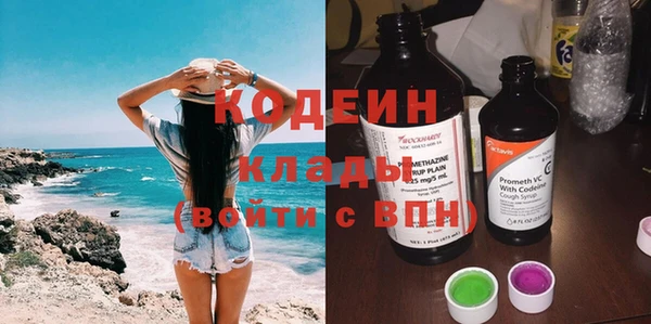 индика Козловка