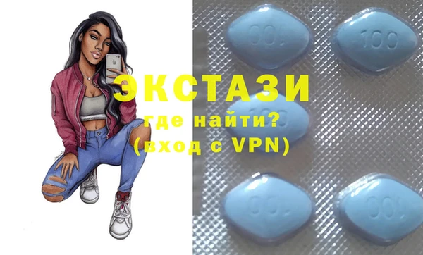 индика Козловка