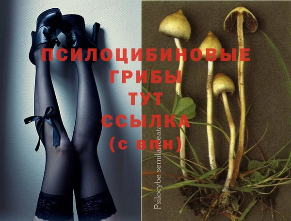 круглые Кодинск