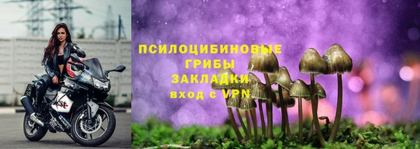 шишки Козельск