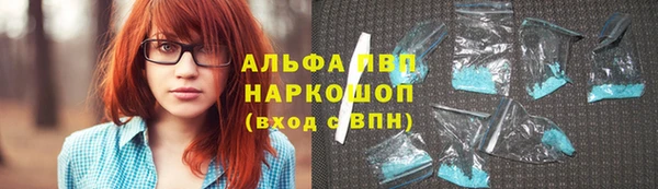 индика Козловка