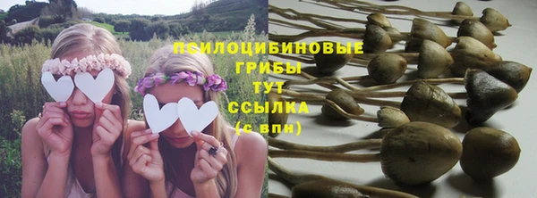 шишки Козельск