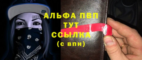 индика Козловка